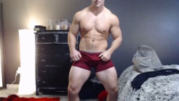 Alexiarain  29-11-2020